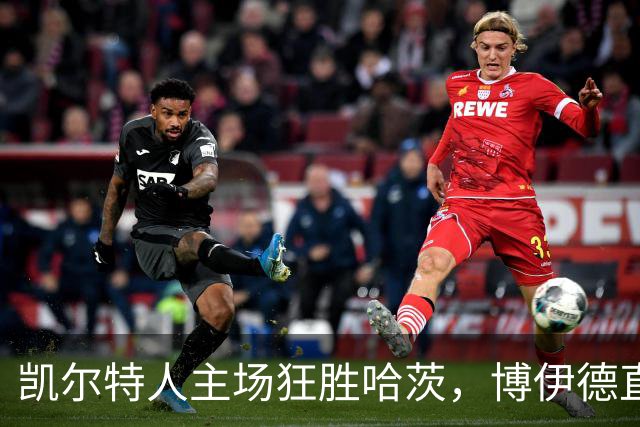 凯尔特人主场狂胜哈茨，博伊德直言伤害惨重